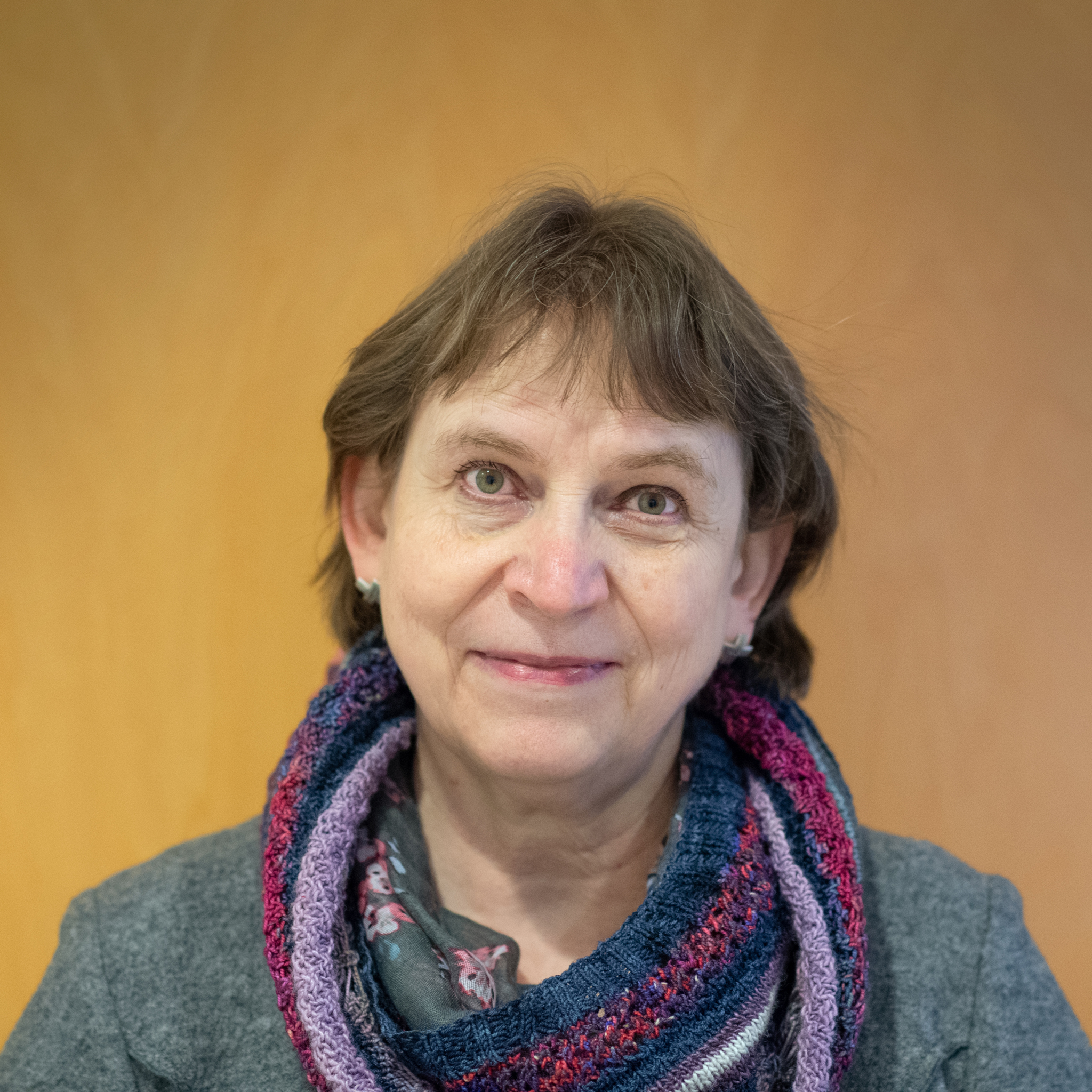 Ann-Sofi Storbacka, suppleant